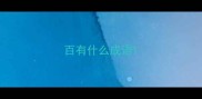 百有什么成语
