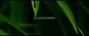 班马的成语有哪些
