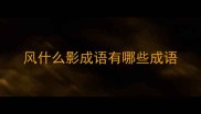 风什么影成语有哪些成语