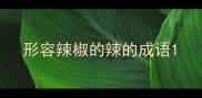 形容辣椒的辣的成语