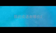 弱的成语有哪些