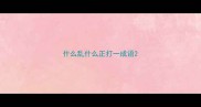 什么乱什么正打一成语