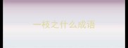 一枝之什么成语
