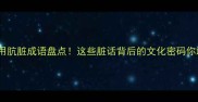100个常用肮脏成语盘点这些脏话背后的文化密码你敢看吗