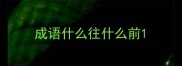 成语什么往什么前