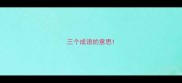 三个成语的意思