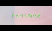 什么什么新成语