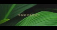 军神刘伯承成语