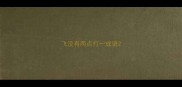 飞没有两点打一成语