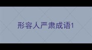 形容人严肃成语
