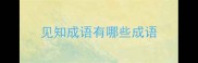 见知成语有哪些成语