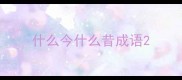 什么今什么昔成语
