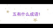 五有什么成语