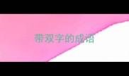 带双字的成语