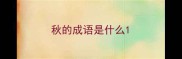 秋的成语是什么