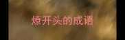 燎开头的成语