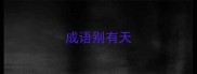 成语别有天