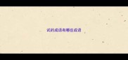 试的成语有哪些成语