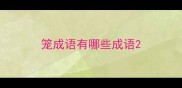 笼成语有哪些成语