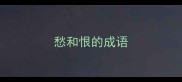 愁和恨的成语