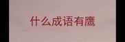 什么成语有鹰