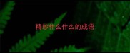 精妙什么什么的成语