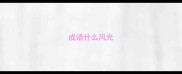 成语什么风光
