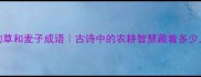 5个必知的草和麦子成语古诗中的农耕智慧藏着多少人生哲理