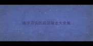 珠字开头的成语接龙大全集