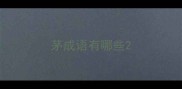 茅成语有哪些