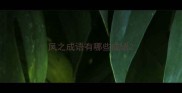 凤之成语有哪些成语