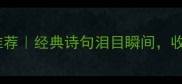 送行成语推荐经典诗句泪目瞬间收藏备用