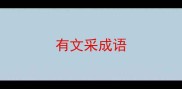 有文采成语