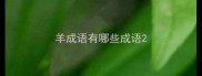 羊成语有哪些成语