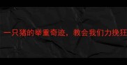 成语故事猪力擎天一只猪的举重奇迹教会我们力挽狂澜的智慧
