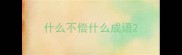什么不偿什么成语