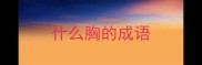 什么胸的成语