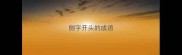 侧字开头的成语