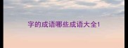 字的成语哪些成语大全