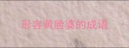 形容黄脸婆的成语