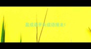 盈成语开头成语接龙