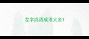 龙字成语成语大全
