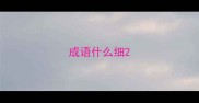 成语什么细