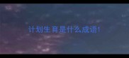 计划生育是什么成语
