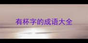 有杯字的成语大全