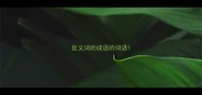 反义词的成语的词语