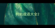 鸭的成语大全