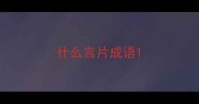 什么言片成语