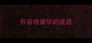形容很豪华的成语