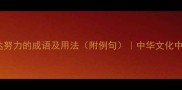 10个最常用的表达努力的成语及用法附例句中华文化中的奋斗精神传承